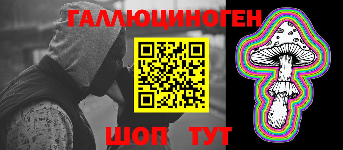 Кисловодск  Псилоцибиновые грибы Psilocybine cubensis  Вход с VPN 