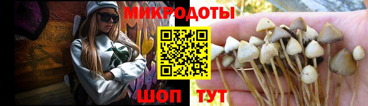 Псилоцибиновые грибы Magic Shrooms Кисловодск